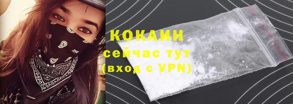 стафф Бородино
