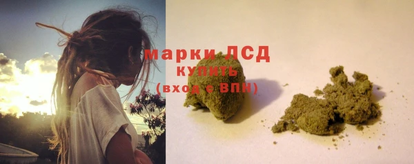 стафф Бородино