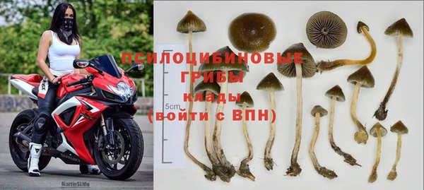 прущие крисы Бронницы