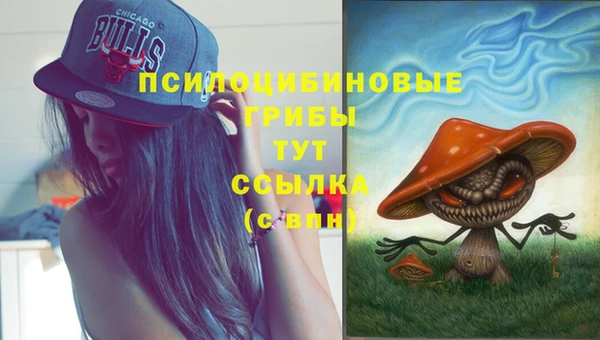 стафф Бородино