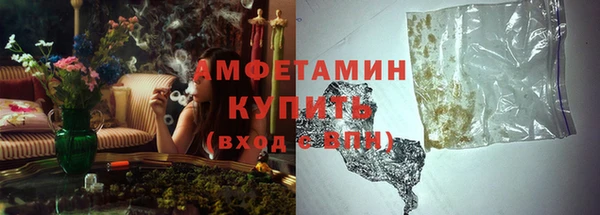 стафф Бородино