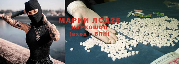 стафф Бородино