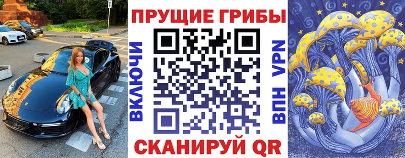 цены наркотик  Мончегорск  Псилоцибиновые грибы мицелий 